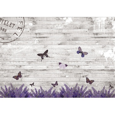 Preinterier FT2756 Fototapeta na stenu Motýle – vintage vlies 104cm x 70cm