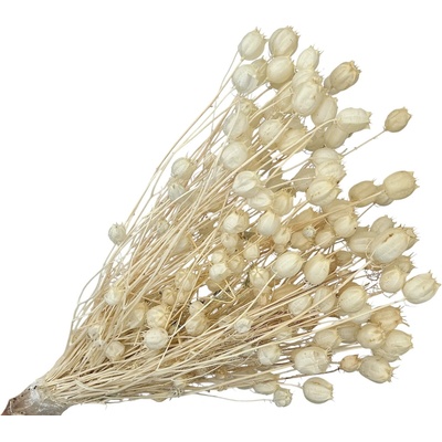 Sušené kvety Černuška - Nigella damascena 100g - bielená