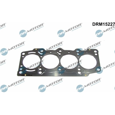 DR.MOTOR AUTOMOTIVE Tesnenie hlavy valcov DRM15227