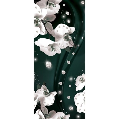 Preinterier Fototapeta - FT3101 - samolep. fólia - 91cm x 211cm