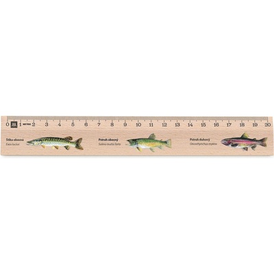 Metrie Didakt-M02 Dřevěné pravítko s potiskem Ryby 20 cm