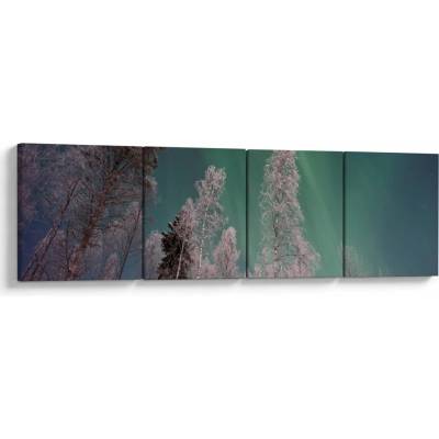 Obraz polárna žiara nad zamrznutými stromami, štvordielne 160x40 cm