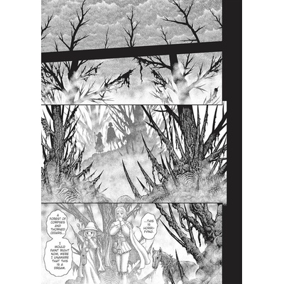 Dark Horse Berserk 40
