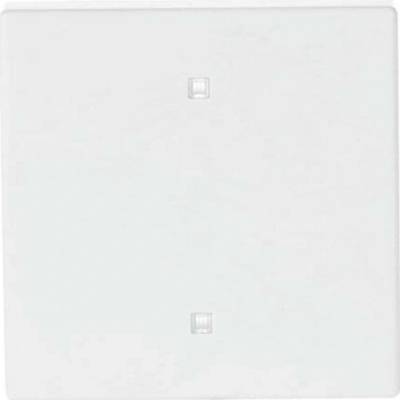 Busch-Jaeger 2CKA001751A3258