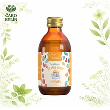Serafin Serafínkův detský sirup 200 ml