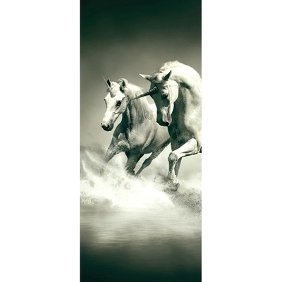 Preinterier DV0190 Fototapeta na stenu čiernobiele jednorožce vlies 91cm x 211cm