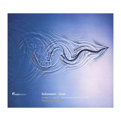 Pedro Burmester - Schumann - Fantasie op.17 - Liszt - Sonata CD – Hledejceny.cz