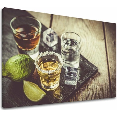 Obraz na stenu TEQUILA_075-11 - 30x40 cm