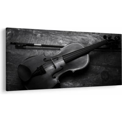Obraz - Viola, jednodielne 200x100 cm