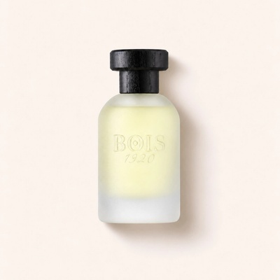 Bois 1920 Classic 1920 parfémovaná voda unisex 50 ml