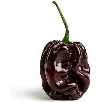 Semienka Piquant Paprička chilli HABANERO CHOCOLATE