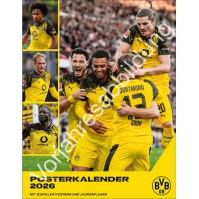 Heye BVB Poster 2027
