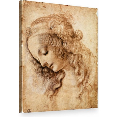 Obraz na plátne HLAVA ŽENY – Leonardo Da Vinci - 60x80 cm