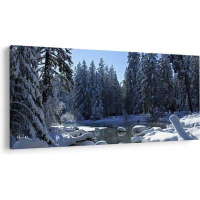 Obraz zasneženého lesa, jednodielne 200x100 cm