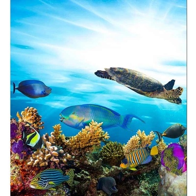 Dimex MS-3-0216 vliesová fototapeta na zeď Ryby v oceánu rozměry 225 x 250 cm