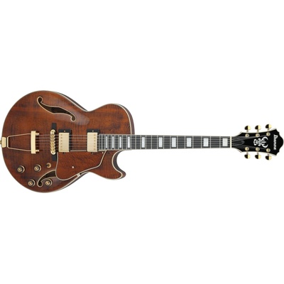 Ibanez AG95MG-DA – Hledejceny.cz