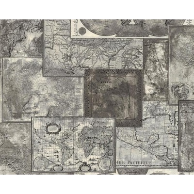 A.S. Création 664327 - Vinylová tapeta Dekora Natur 6 rozmery 0,53 x 10,05 m