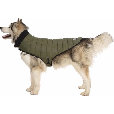 Trespass Lloyd Dog Puffer JKT TP