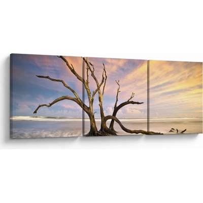 Obraz stromu v oceáne, trojdielne 90x30 cm