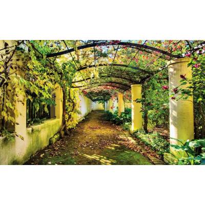 Preinterier FT4666 Fototapeta na stenu Tunel lásky vlies 104cm x 70cm