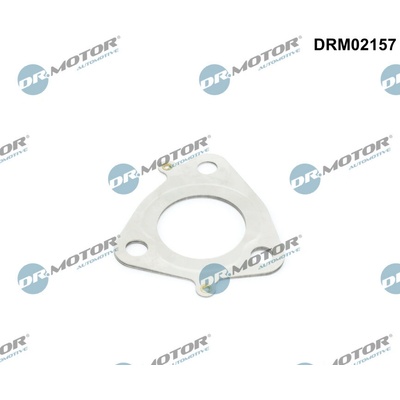 DR.MOTOR AUTOMOTIVE Tesnenie turbodúchadla DRM02157