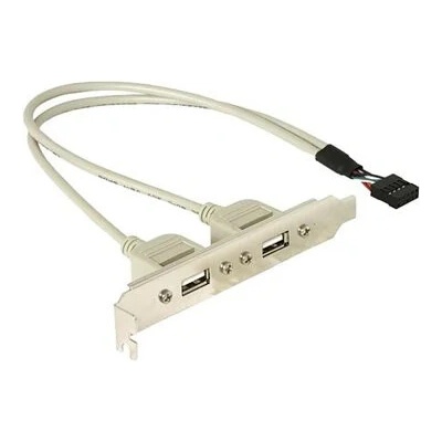 Delock Slot bracket 2 x USB 2.0 type A f 71000