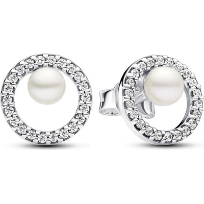 Pandora 293154C01