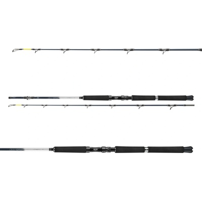Daiwa Leobritz Deepdrop 2,15m 200-600g 2 díly