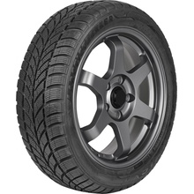 Maxxis WP-05 Arctictrekker 185/55 R16 87H
