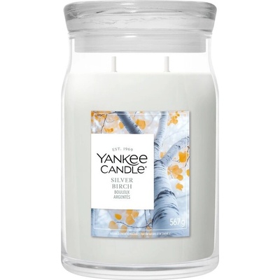 Yankee Candle Silver Birch 567 g