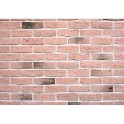 Wild Stone Holland Brick 301 fasádní lazio cihlová 21 x 6 cm 1m² – Hledejceny.cz