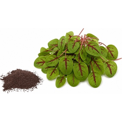 Microgreens Krvavý šťovík 100 g