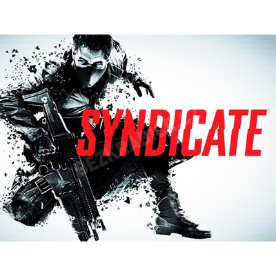 Syndicate