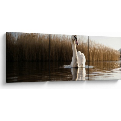 Obraz labutě, třídílný 120x40 cm