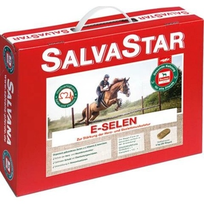 Salvastar E-Selen pre kone 5 kg brikety