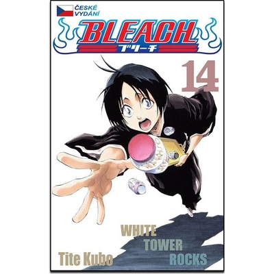 Bleach 14: White Tower Rocks