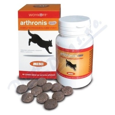 Arthronis mini ACUTE CANIS sýrová 60 tbl – Hledejceny.cz