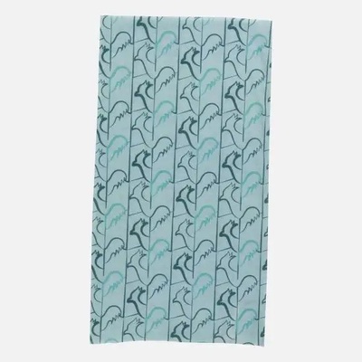 Rossignol Tube Rooster blue red