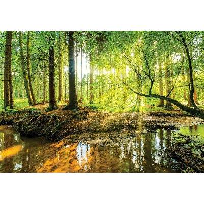Consalnet Obraz na plátně: Lužní les - 75x100 cm