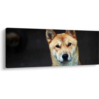 Obraz psa, jednodílný 145x58 cm