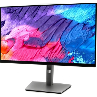 Dell P2422H