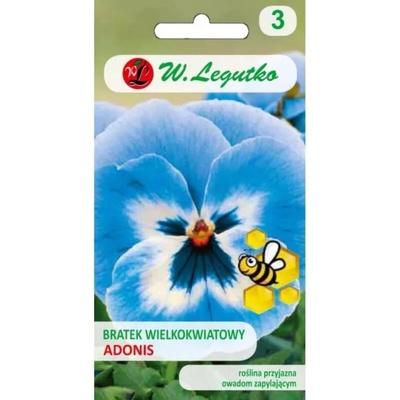 Adonis pansy modrá a biela