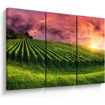 Obraz vinice s farebným nebom, trojdielne 120x80 cm