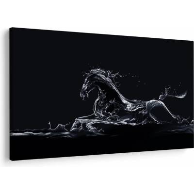 Obraz - Kůň a voda, jednodílný 90x60 cm