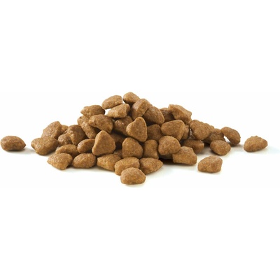 Purina ONE Adult morské ryby 3 kg