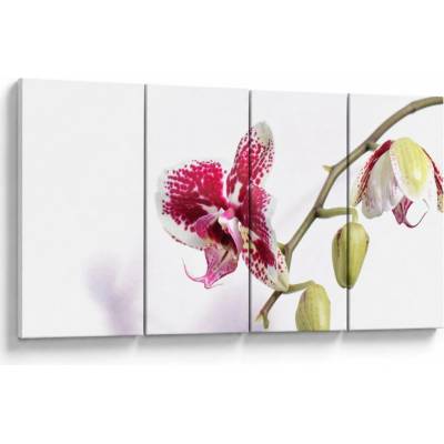 Obraz kvetu orchidey, štvordielne 160x80 cm