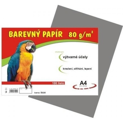 Barevný papír A4 100/80 g šedý Stepa s.r.o.