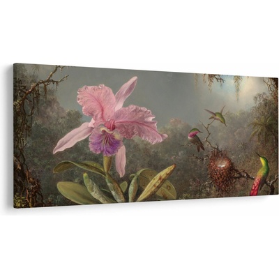 Obraz - Martin Johnson Heade, Cattleya Orchid and Three Hummingbirds, reprodukcia, jednodielne 250x125 cm