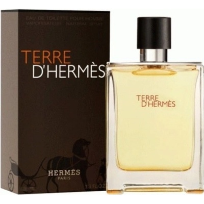 Hermès Terre D Hermès limitovaná edice flakonu H toaletná voda pánska 100 ml