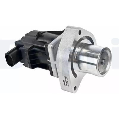 EGR ventil DELPHI EG10638-12B1